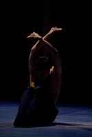 Orlando – Marco Goecke; Friedemann Vogel, Stuttgarter Ballett, 2010, © Marcia Breuer