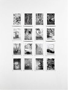 Marcia Breuer, transplants, Ausstellungsansicht „GARTEN“, 2026