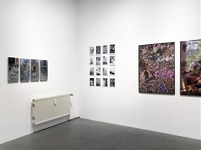 Marcia Breuer, transplants, Ausstellungsansicht „GARTEN“, 2026